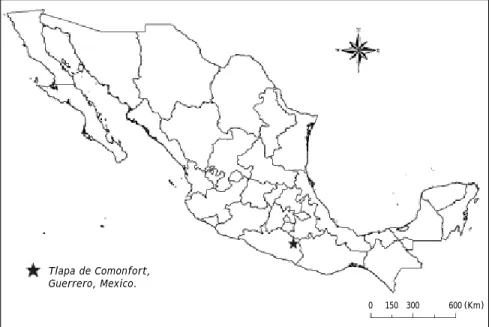 Figure 1. Tlapa de Comonfort, Guer-