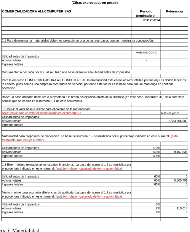 Figura 3. Materialidad 