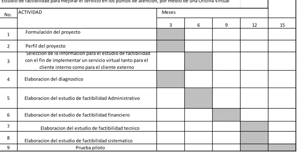 Tabla 6 Cronograma de actividades. 