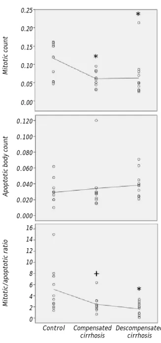 Figure 4. Dot plot graphs of intestinal mucosal mitotic count, apoptotic body count and their ratio, with  interpola-tion line connecting mean values of each group