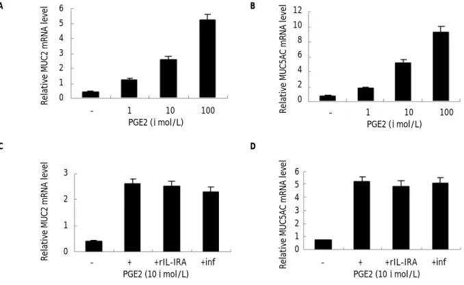 Figure 3. Induction of MUC2 and MUC5AC expression in HIBECs by exogenous PGE 2  (A) and (B) exogenous PGE 2  (1, 10 and 100 µmol/L) stimulated MUC2 mRNA and MUC5AC mRNA expression in a dosage-dependent manner, P &lt; 0.01, respectively