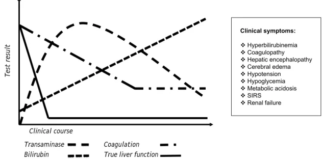 Figure 1. Schematic course of biochemical parameters and clinical symptoms in progressive acute liver failure