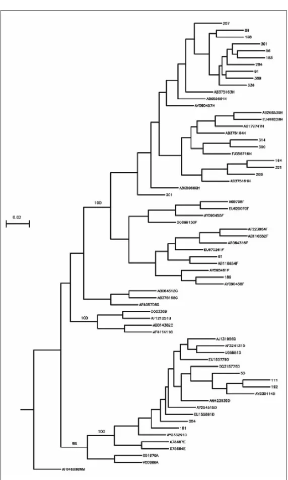 Figure 1. Phylogenetic tree of 23 HBV DNA  se-quences from isolates from the study  popula-tion