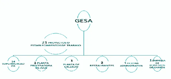 Figura 9  Elaboración con información de GESA CTA 