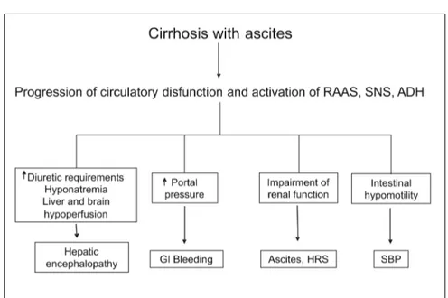 Figure 3. Potential contribution of