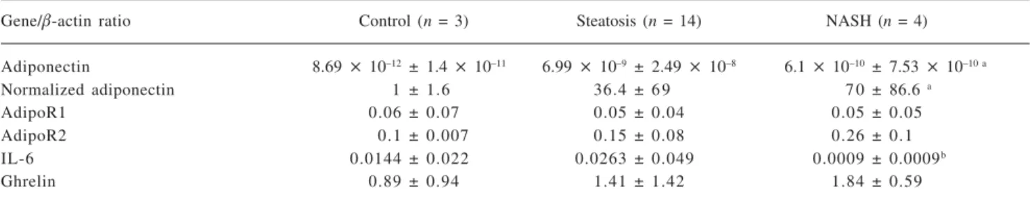 Table III. Relative quantification of mRNA levels of adiponectin, AdipoR1, AdipoR2, IL-6 and ghrelin in patients with a normal liver, steatosis,