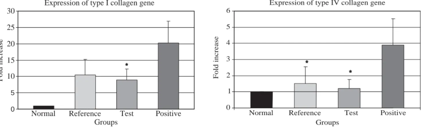 Figure 3 (A, B). Q-PCR analysis of the expression of types I and IV collagen genes. (A) Transcript levels of type I collagen gene (*) p <