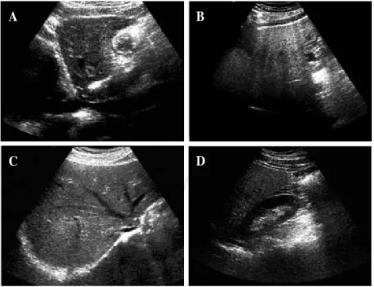 Figure 1. Characteristic ap-