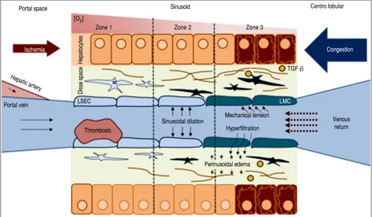 Figure 2.Figure 2.Figure 2.Figure 2.