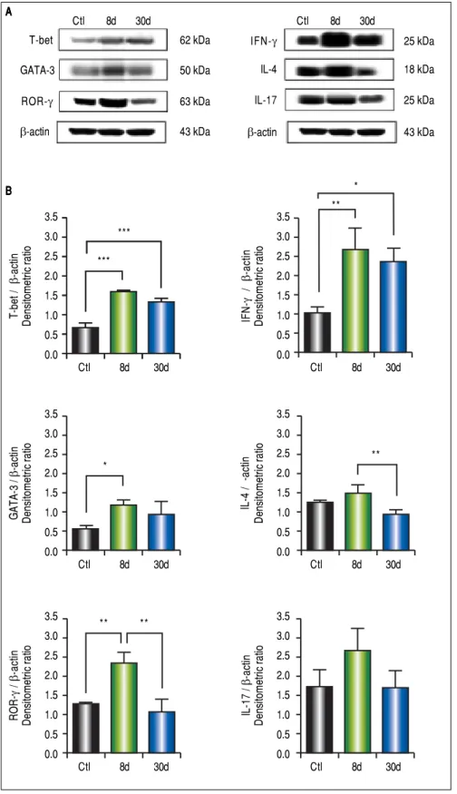 Figure 5.Figure 5.Figure 5.