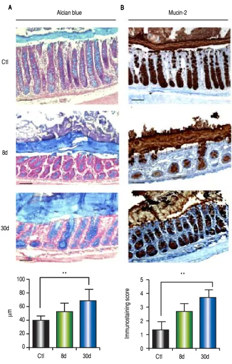 Figure 6.Figure 6.Figure 6.Figure 6.