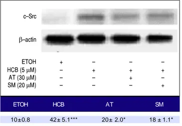 Figure 9.  Figure 9. Analysis of the expression of c-Src by Western blot. Hep-G2 cells were pretreated with AT (30 μM) or SM (20 μM) for 3 h and then HCB (5 μM) for 24 h
