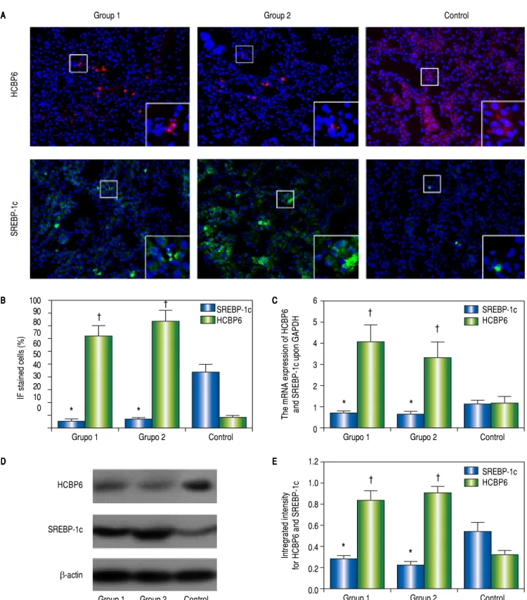 Figure 2.Figure 2.Figure 2.