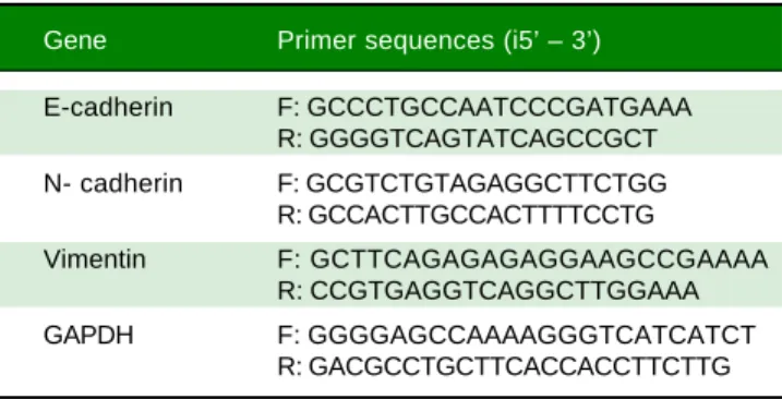 Table 1. List of primer sequences used in qRT-PCR experi-
