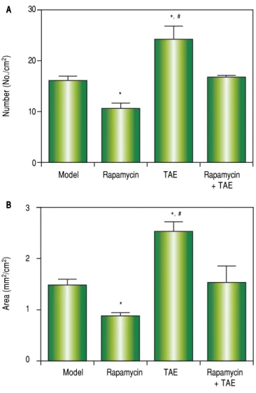 Figure 4. Comparison of lung metastasis of rats among different groups on the 31st day after operation (2 weeks after treatment)