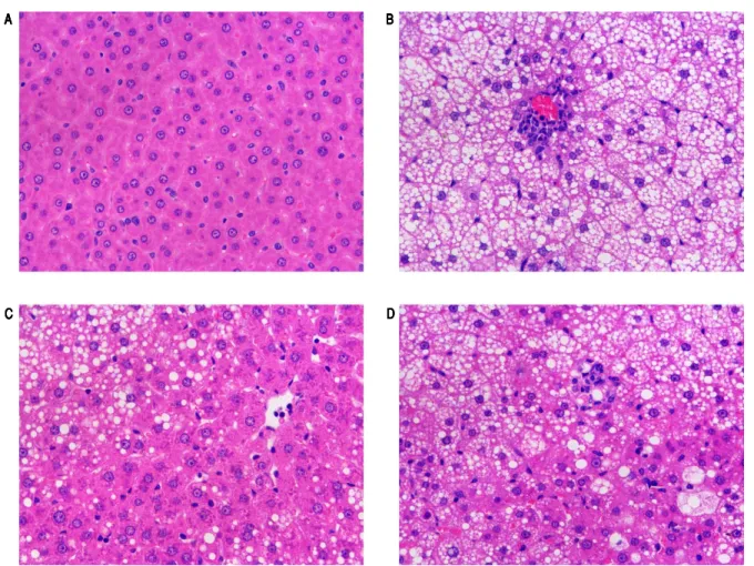 Figure 2.Figure 2.Figure 2.Figure 2.