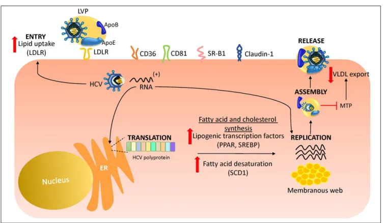 Figure 2.Figure 2.Figure 2.Figure 2.