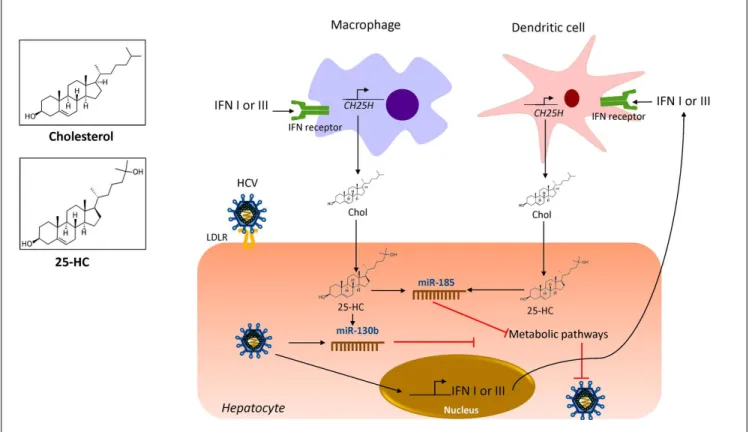 Figure 3.Figure 3.Figure 3.