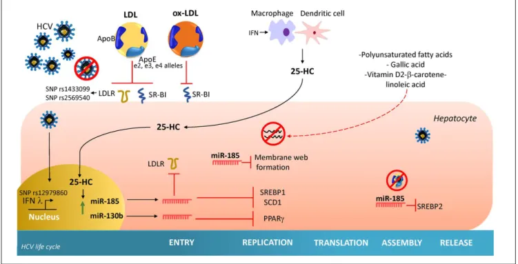 Figure 4.Figure 4.Figure 4.Figure 4.