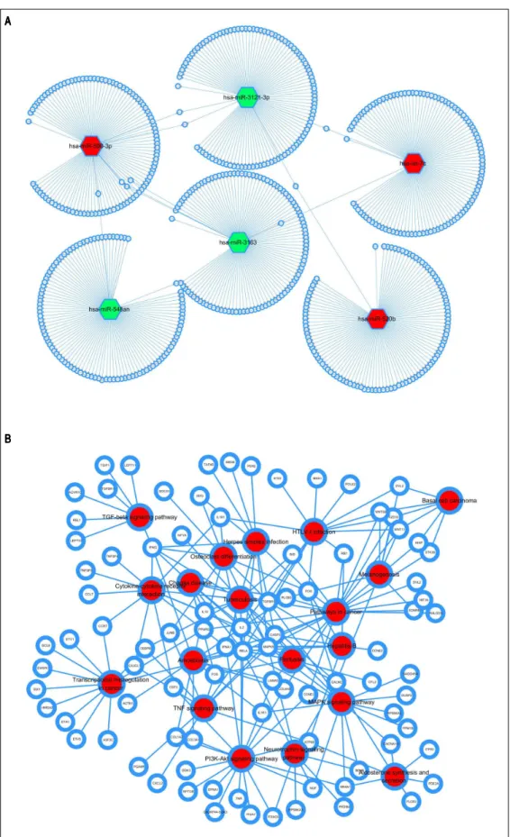 Figure  5. Figure  5. Figure  5. Figure  5. 