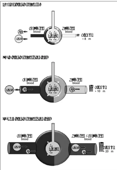 Figure 2. Figure 2. Figure 2. Figure 2. 