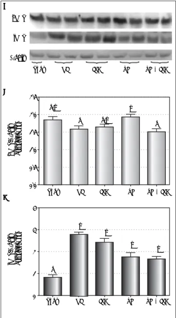 Figure 3.Figure 3.Figure 3.