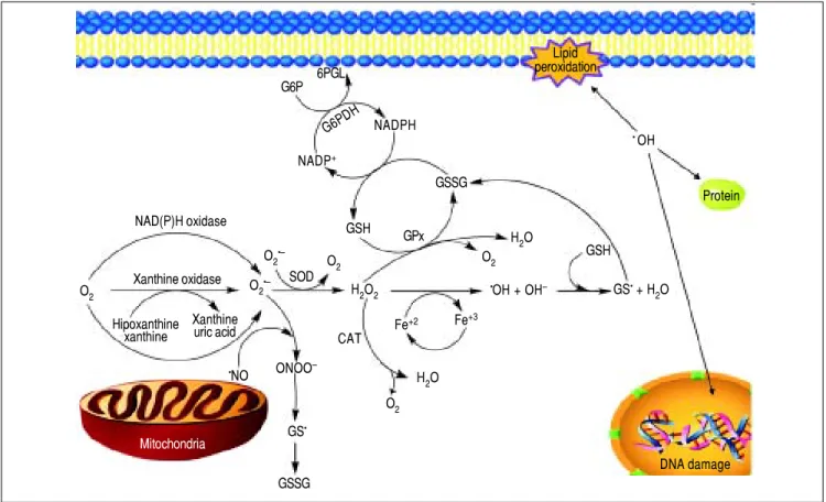 Figure 1.Figure 1.Figure 1.