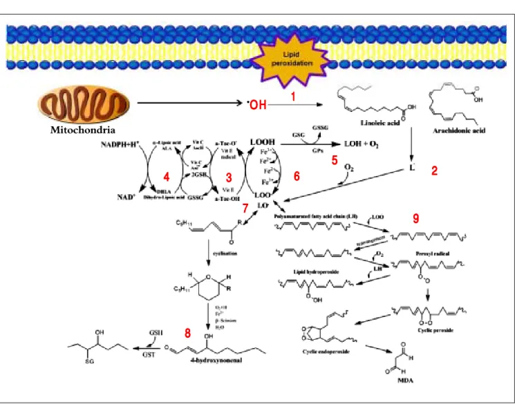 Figure 4.Figure 4.Figure 4.