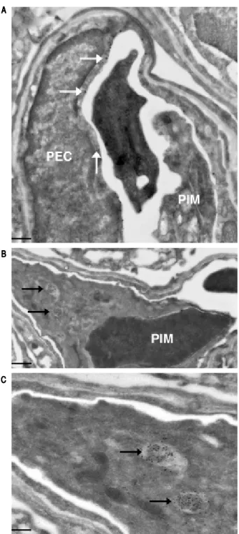 Figure 5.Figure 5.Figure 5.