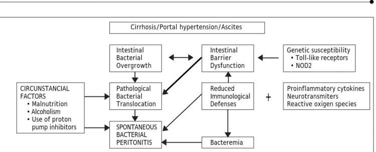 Figure 1. Pathogenesis of spontaneous bacterial peritonitis.