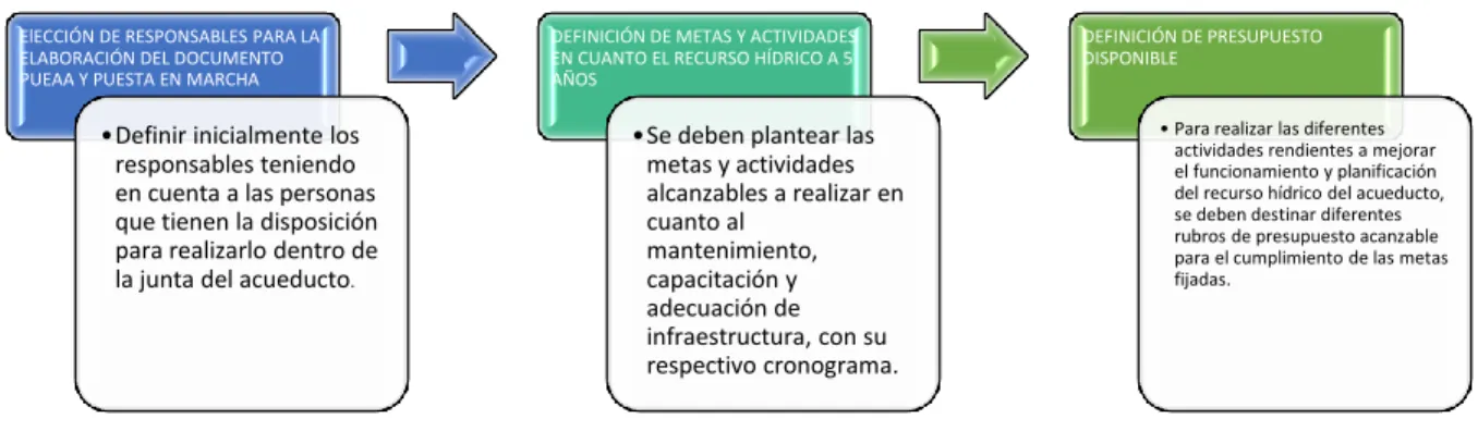 Figura 10. Pautas para la presentación de PUEAA  Fuente: Autor 