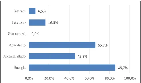 Figura 3. Servicios básicos en la zona rural 