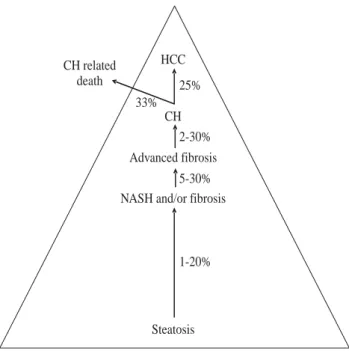 Figure 1. Natural course of NAFLD in 8-13 years (data from re-