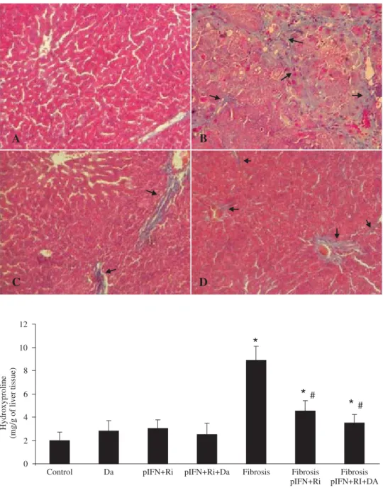 Figure 1. Histological study of li-