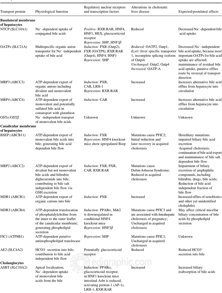 Table I. Major hepatobiliary transporters, their function, regulating nuclear receptors, changes in cholestasis and their expected effects in liver and