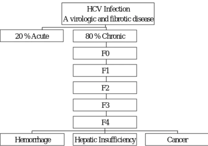 Figure 2. The model of fibrosis progression from infection to compli- compli-cations estimated key numbers of HCV natural history from literature and our database: The median time from infection (F0) to cirrhosis (F4) is 30 years