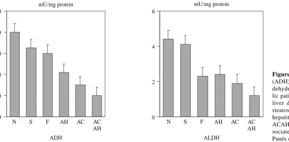 Figure 3. Alcohol dehydrogenase