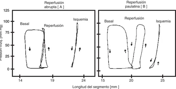 Fig. 5. Gráfica que muestra las diferencias documentadas de manera experimental cuando se hace la reperfusión