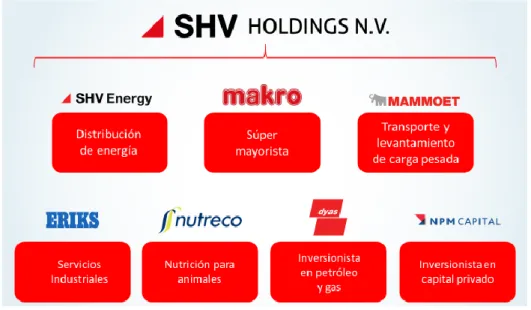 Figura No. 01 Holding SHV 