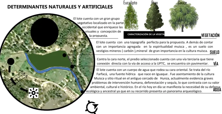 Gráfico  N° 10 
