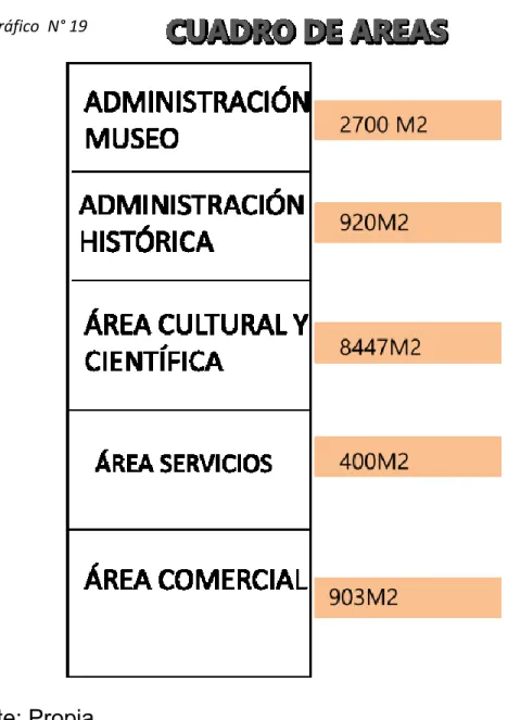 Gráfico  N° 19 
