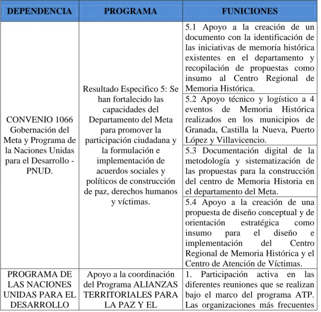 Figura 2.  Plan de Trabajo PNUD 
