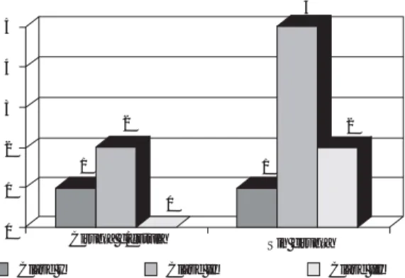 Fig. 5. Representación gráfica de clase funcional en