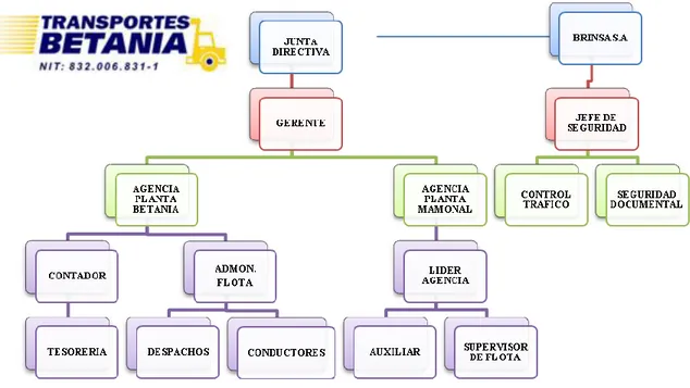 Figura 1. Estructura Organizacional 