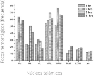 Figura  2.  Ilustra las estructuras talámicas que con mayor  frecuencia  mostraron  focos hemorrágicos con relación a  los diferentes tiempos de SE (1, 2, 3, 4 hs-SE) VPM = núcleo  talámico  ventroposteromedial,  VPL  =  núcleo  talámico  ventroposterolate