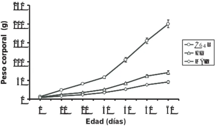 Figura 1. Peso corporal de las ratas de los grupos control (CTRL), hipoprotéico (HIP) y maíz (MAIZ)