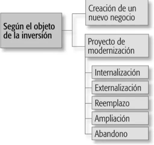 Gráfico 1.2 Clasificación de los proyectos