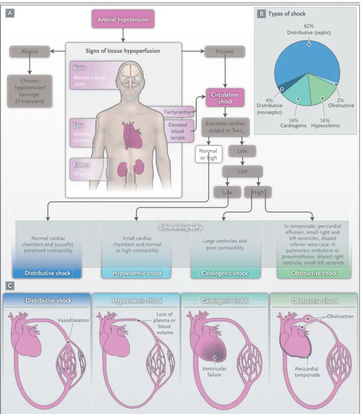 Figure 1.  Initial Assessment of Shock States.
