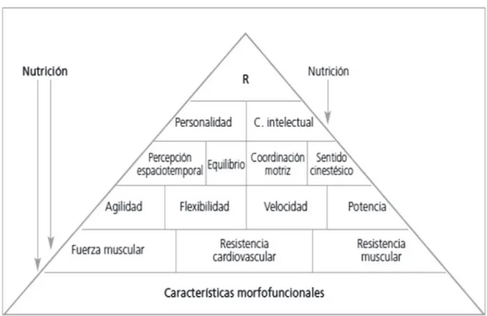 Figura 1. Pirámide del rendimiento deportivo. Tomado de Lizarraga et al, 2010.