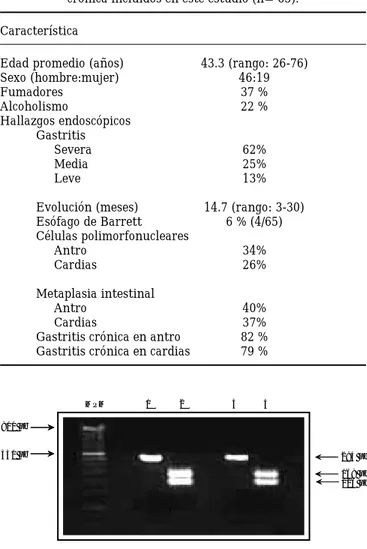Cuadro II. Características clínicas de pacientes con gastritis